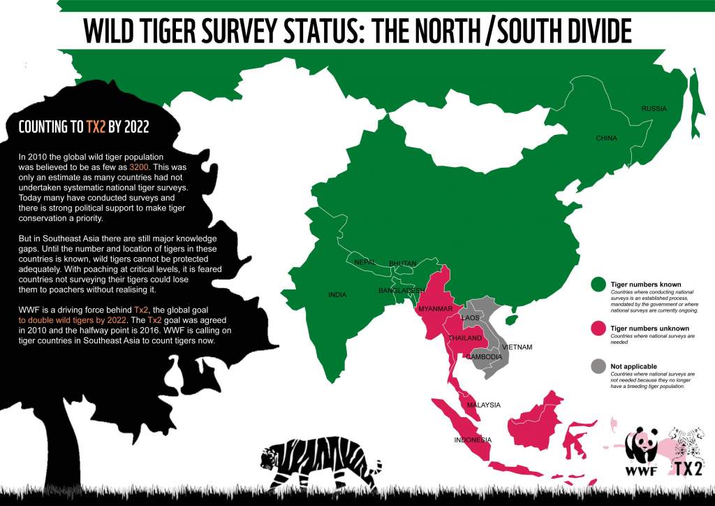 Bhután a tigrisvédelem élmezőnyébe lépett, miközben a délkelet ázsiai tigris-válság tovább súlyosbodik