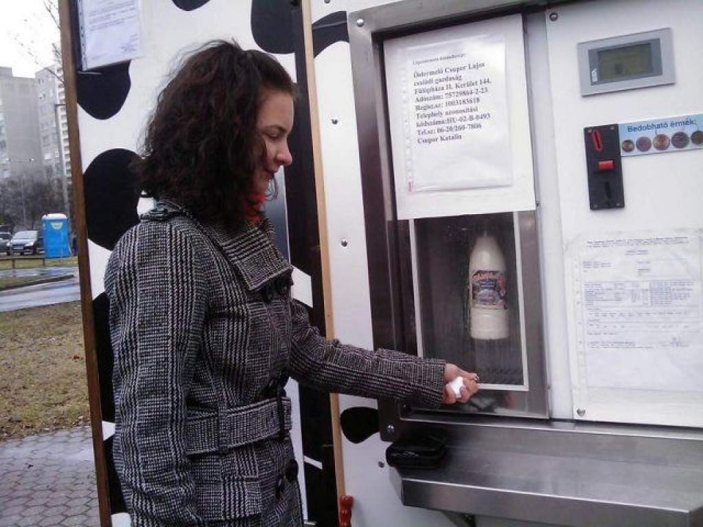 Házi tej automatából – A Charitas Rádió exkluzív riportja a helyszínről