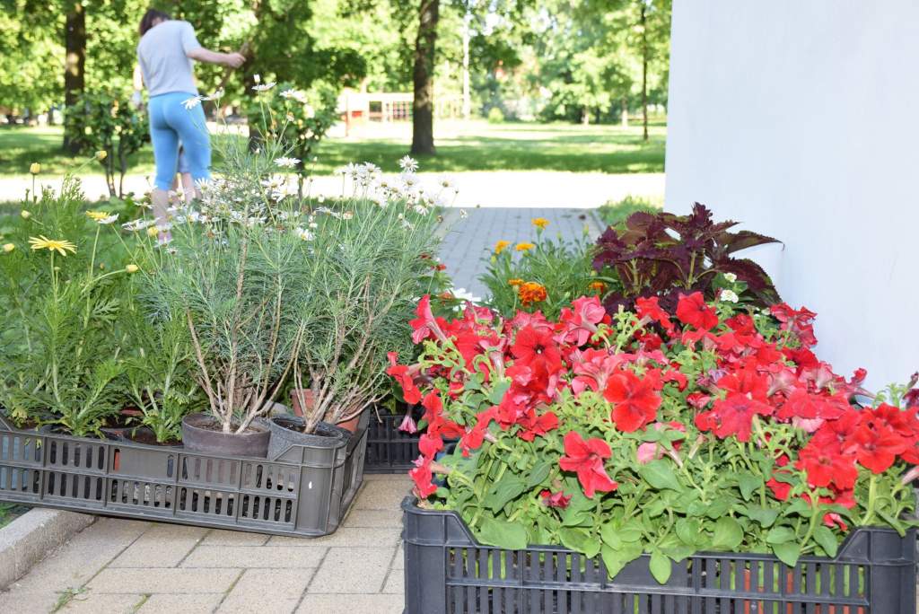 Kertészetis diákok virágoztatták fel a műkerti kápolna kertjét