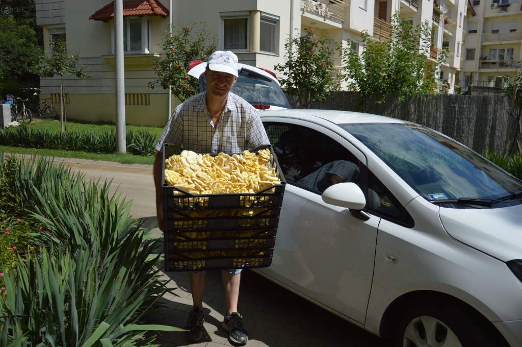 Gombát, burgonyát és hagymát adományoztak vállalkozók a Wojtyla Háznak