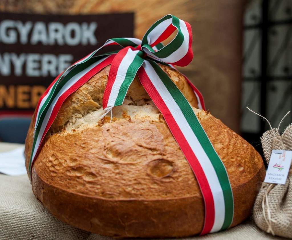 Magyarok kenyere – Több mint 500 tonna búza gyűlt össze