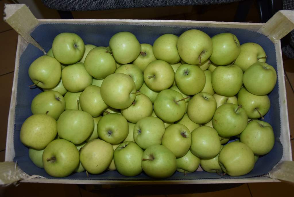 Somodi Ferenc alma adománya