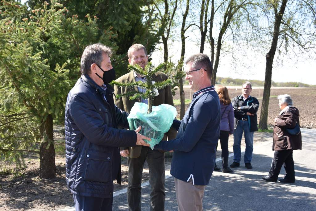 Magántulajdonú, közösségi célokra is szánt botanikuskert nyílt Belsőnyírben