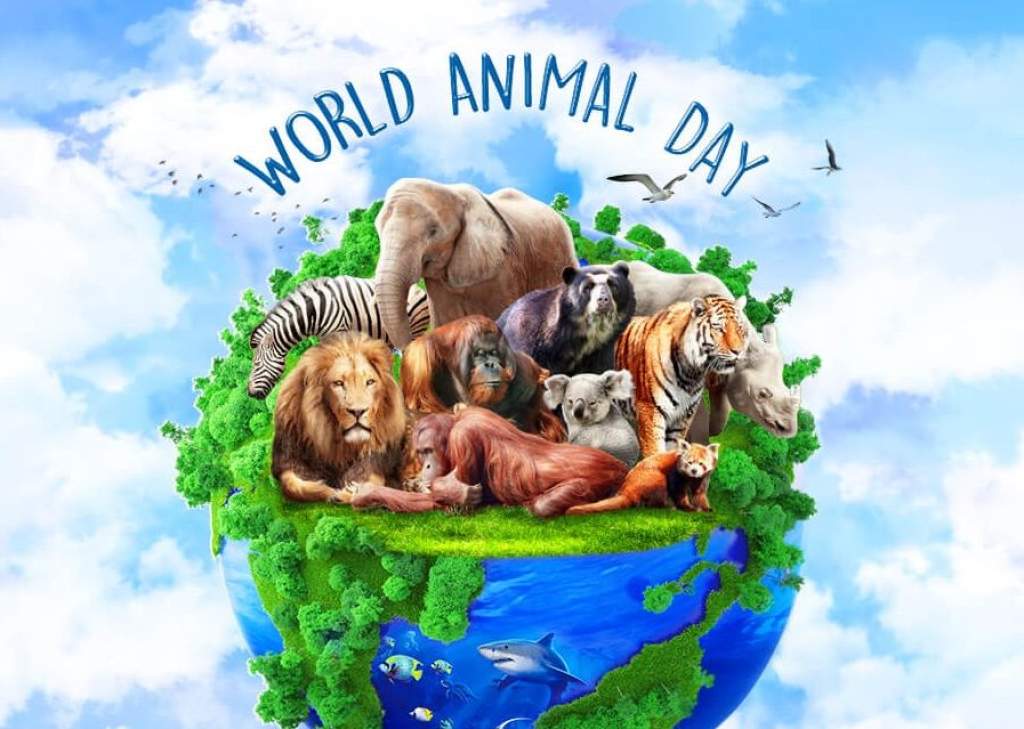 Október 4-én ünnepeljük az Állatok Világnapját!