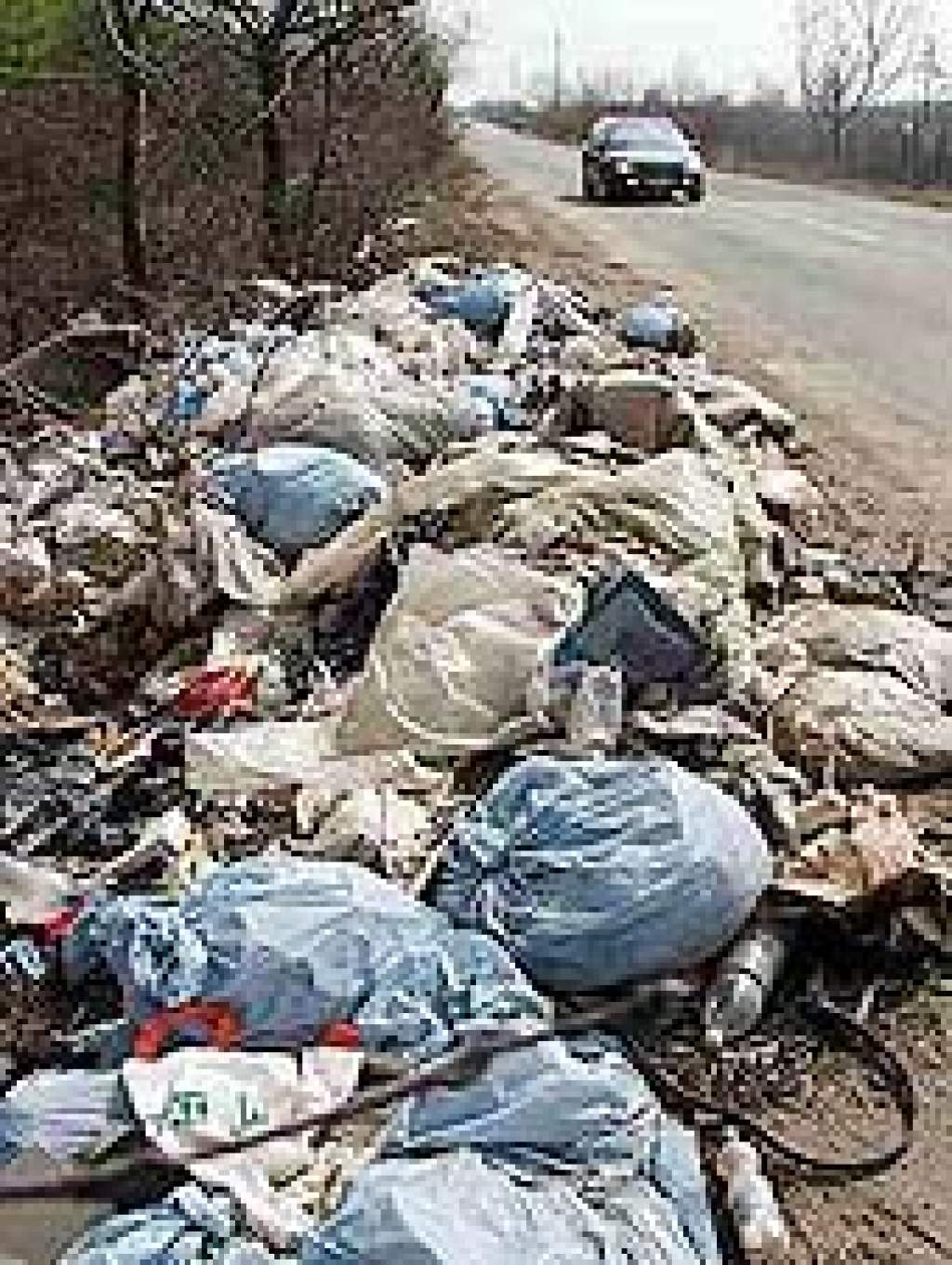 Lakossági fórum a Halasi úti hulladékgyűjtőről