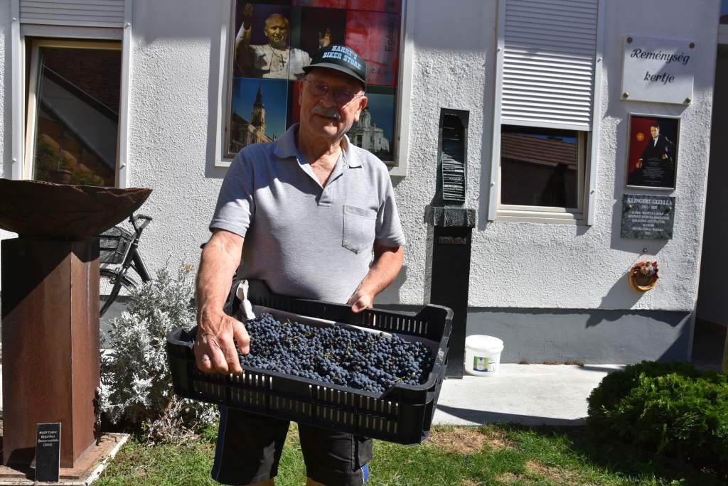 Két láda szőlővel lepte meg Molnár Sándorné a wojtylásokat