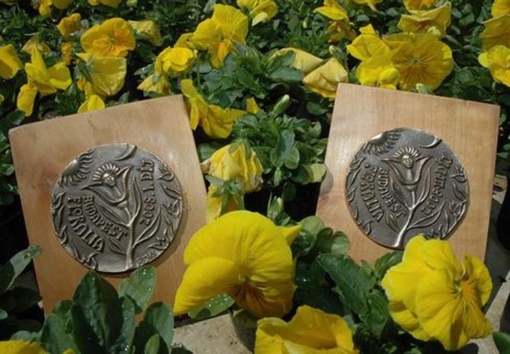 A „Hírös” Kertészek nyerték el a FLORALIA BUDAPEST 2008 kreatív díját