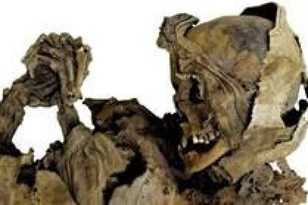 Múmia-tömegsírt tártak fel Olaszországban