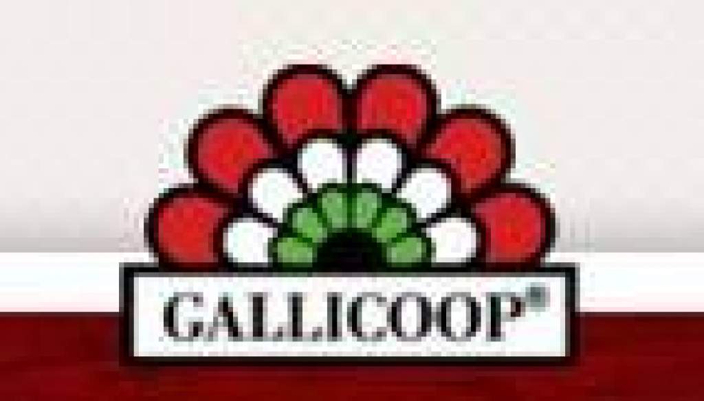 Iskolakezdési támogatást kapnak a Gallicoop „gyermekei”