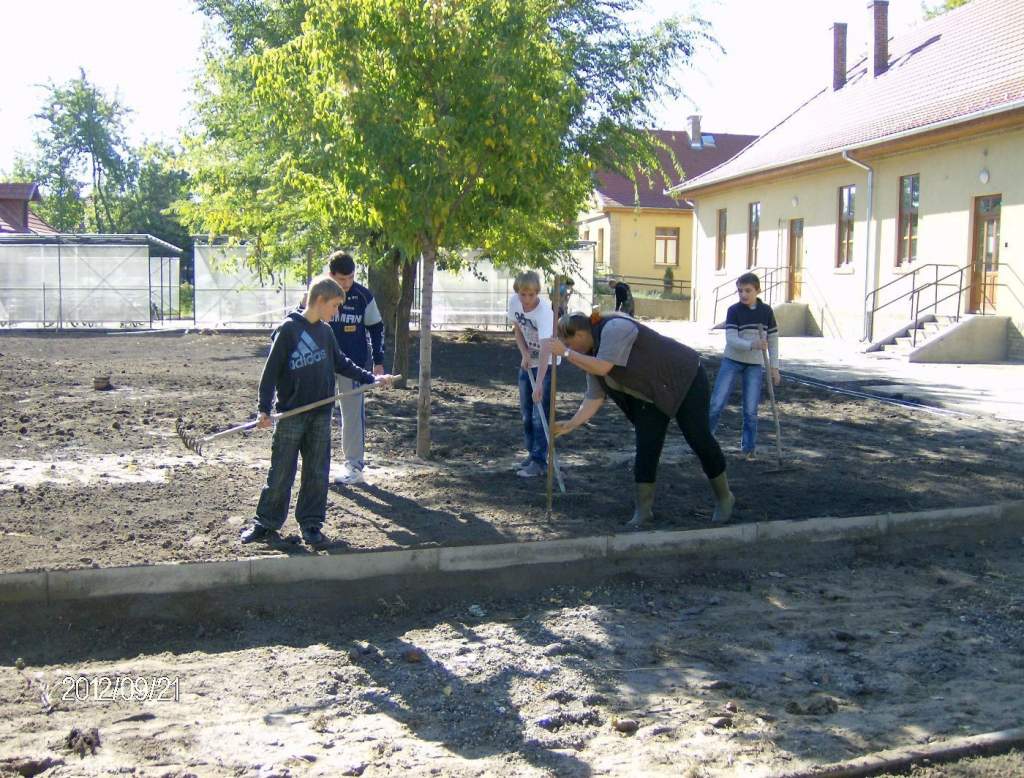 Zöldre cserélte a betont a bugaci Rigó József ÁMK Általános Iskola - Cetelem Zöldsuli Program: elindult az ültetési szezon