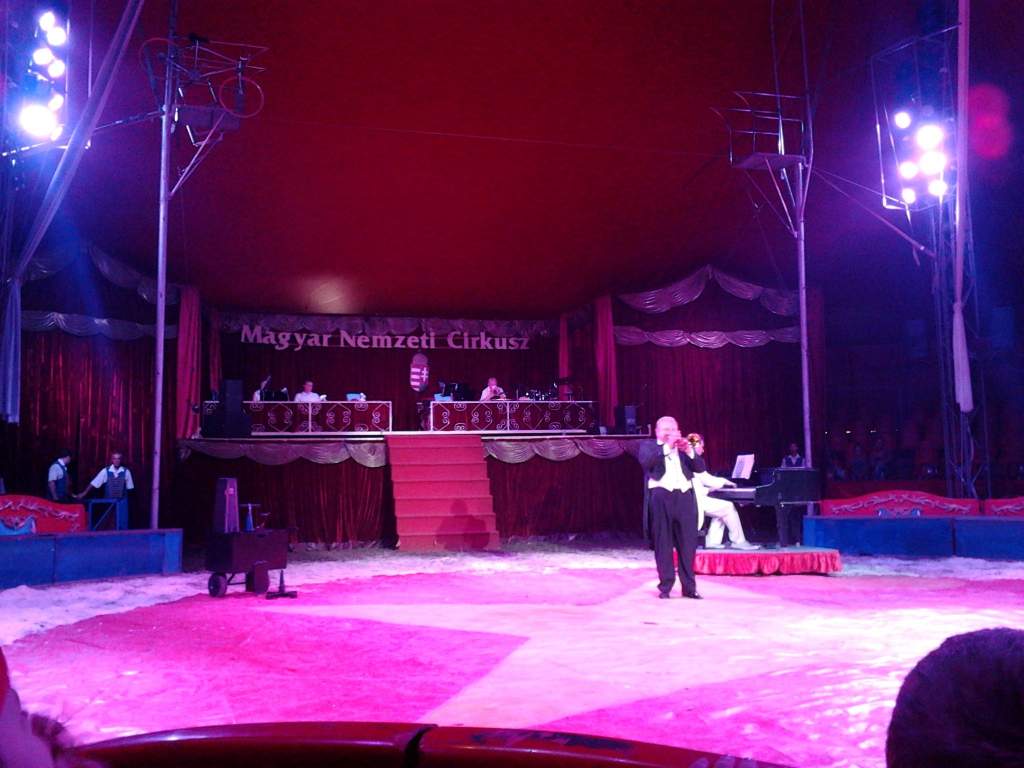 Cirkuszban jártak a "Wojtylás" gyerekek