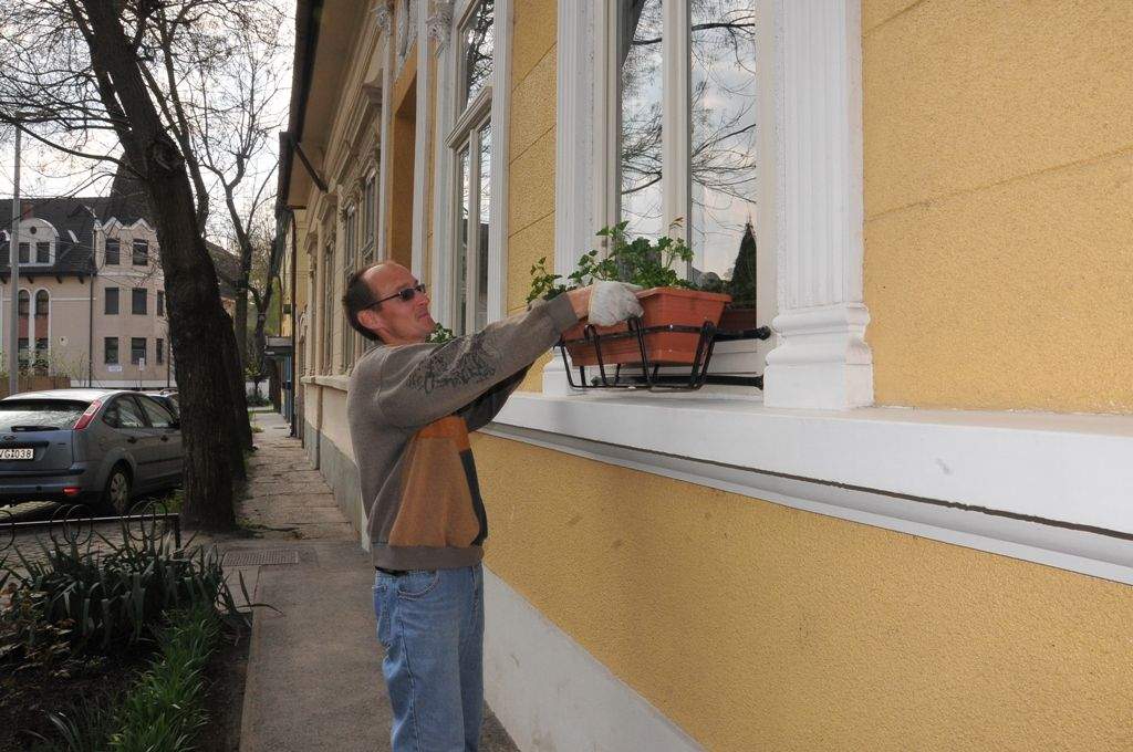 A Wojtyla Ház ablakaiban Gyenes István kertész virágjai díszelegnek 