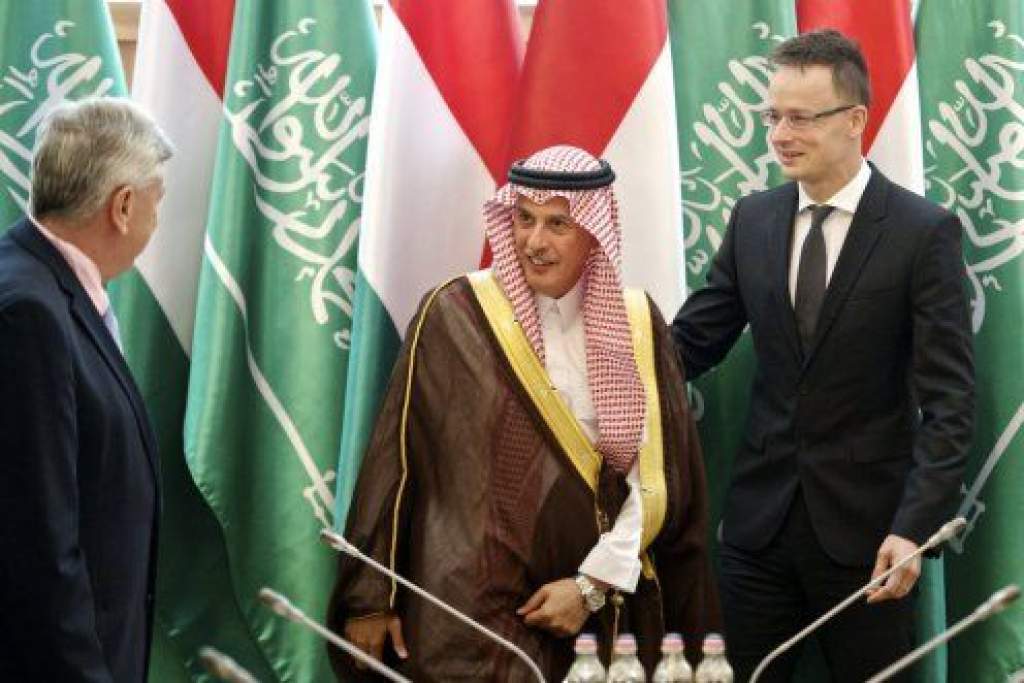 Még több területet vonnak be a magyar-szaúdi együttműködésbe