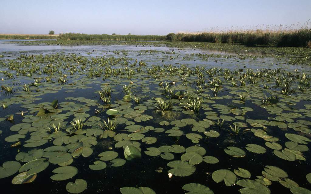 Átírhatjuk a Duna-delta jövőjét?