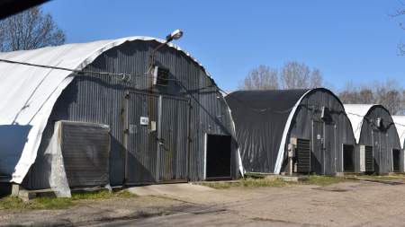 Jótékonyság laskagombával fűszerezve