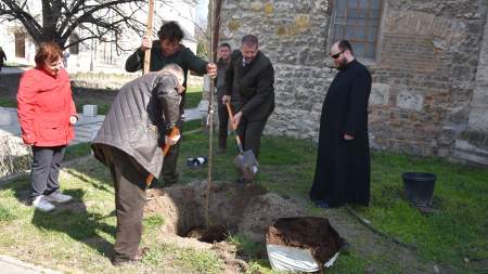 Madárberkenye őrzi Károlyi Bernát emlékét Kecskemét főterén