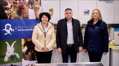 Újabb 50 millió forintot fordít a Közös ügyünk az állatvédelem Alapítvány ivartalanításra