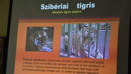 Bolygónk állatvilága