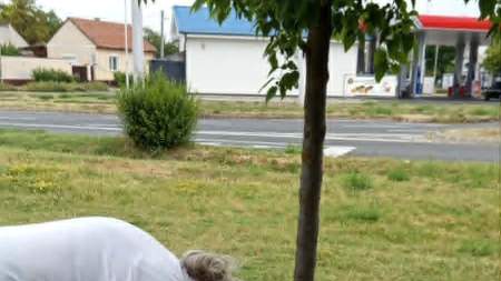 Friss vízzel ontották a fák, növények szomját