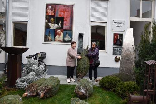 Fenyőfa adomány a rászorultaknak