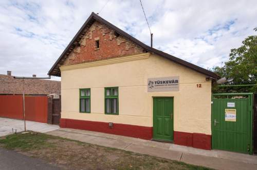 A Körös-parti csendtől a halhatatlanságig: Fekete István kunszentmártoni menedéke