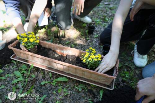 Közösen Ferenc pápa nyomában – Ma van a Föld napja 
