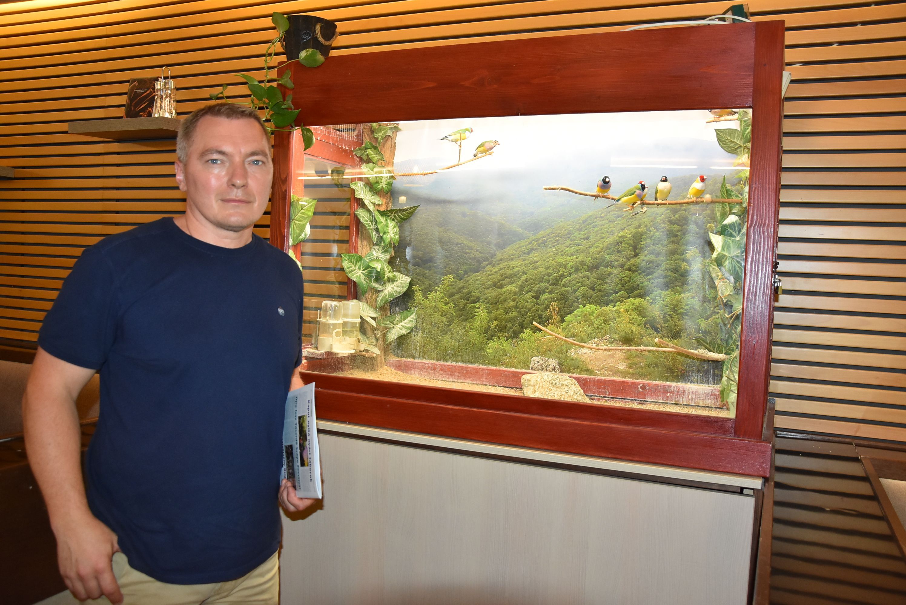 Gouldamandina, a természet egyik csodája